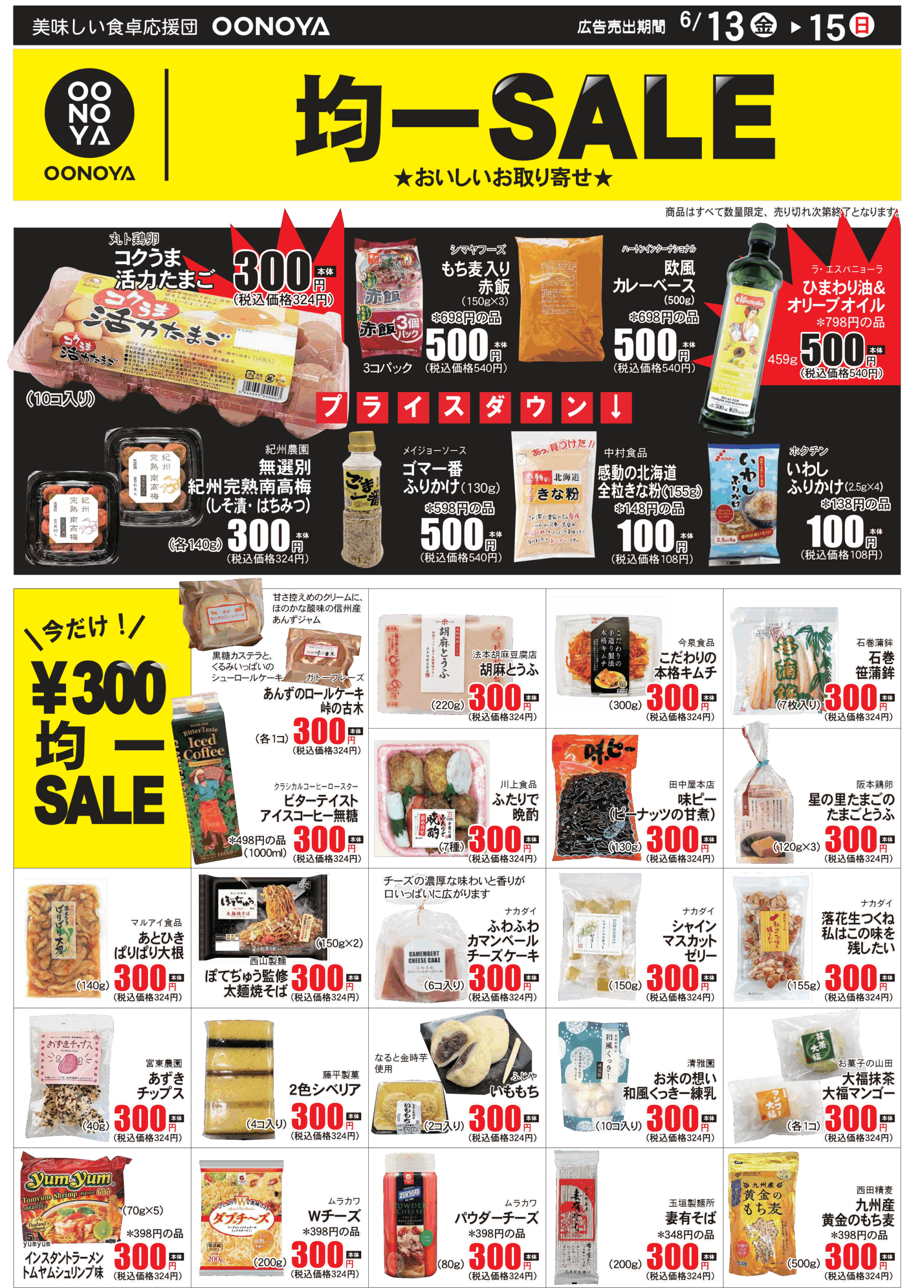 flyer_back