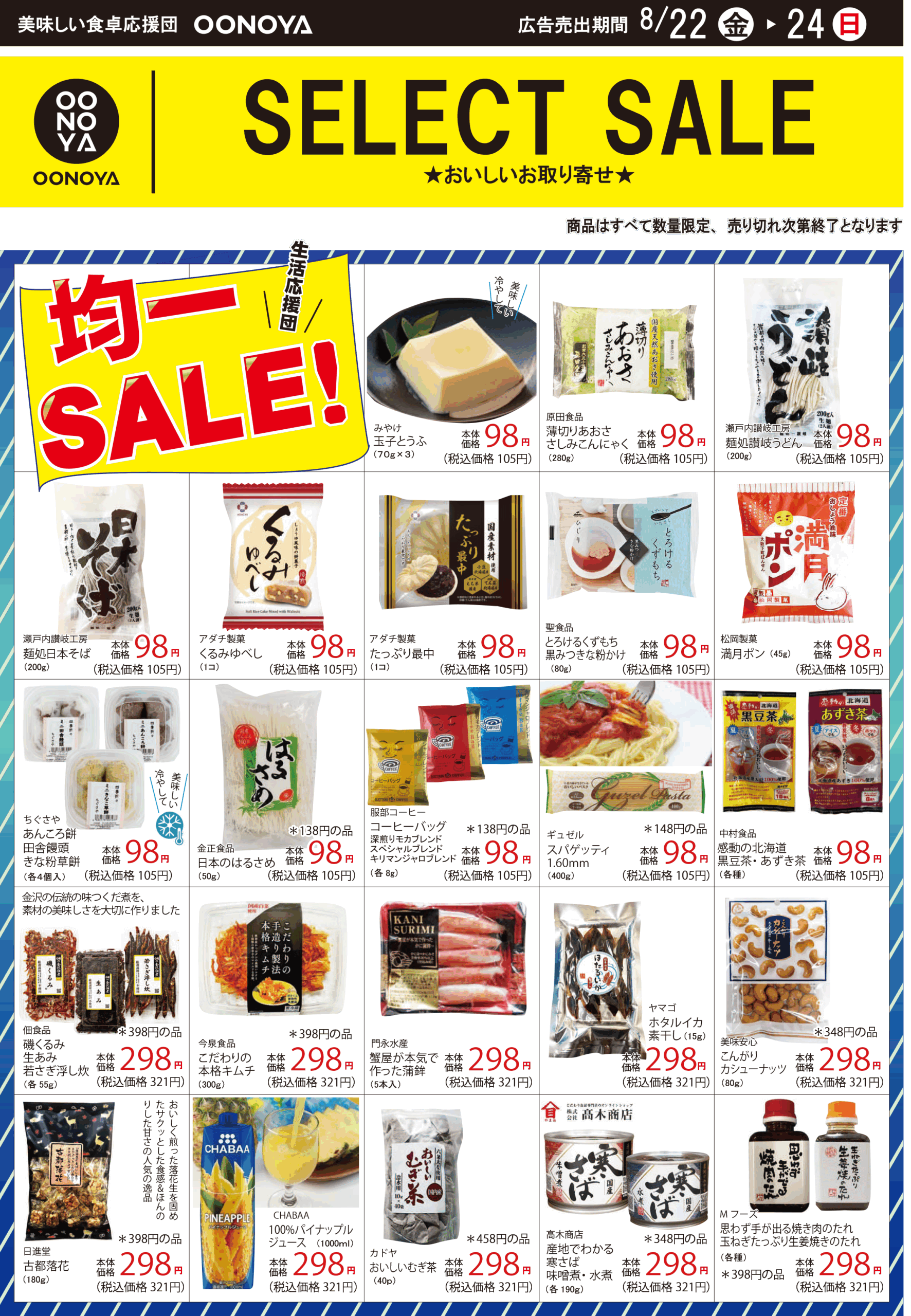 flyer_back
