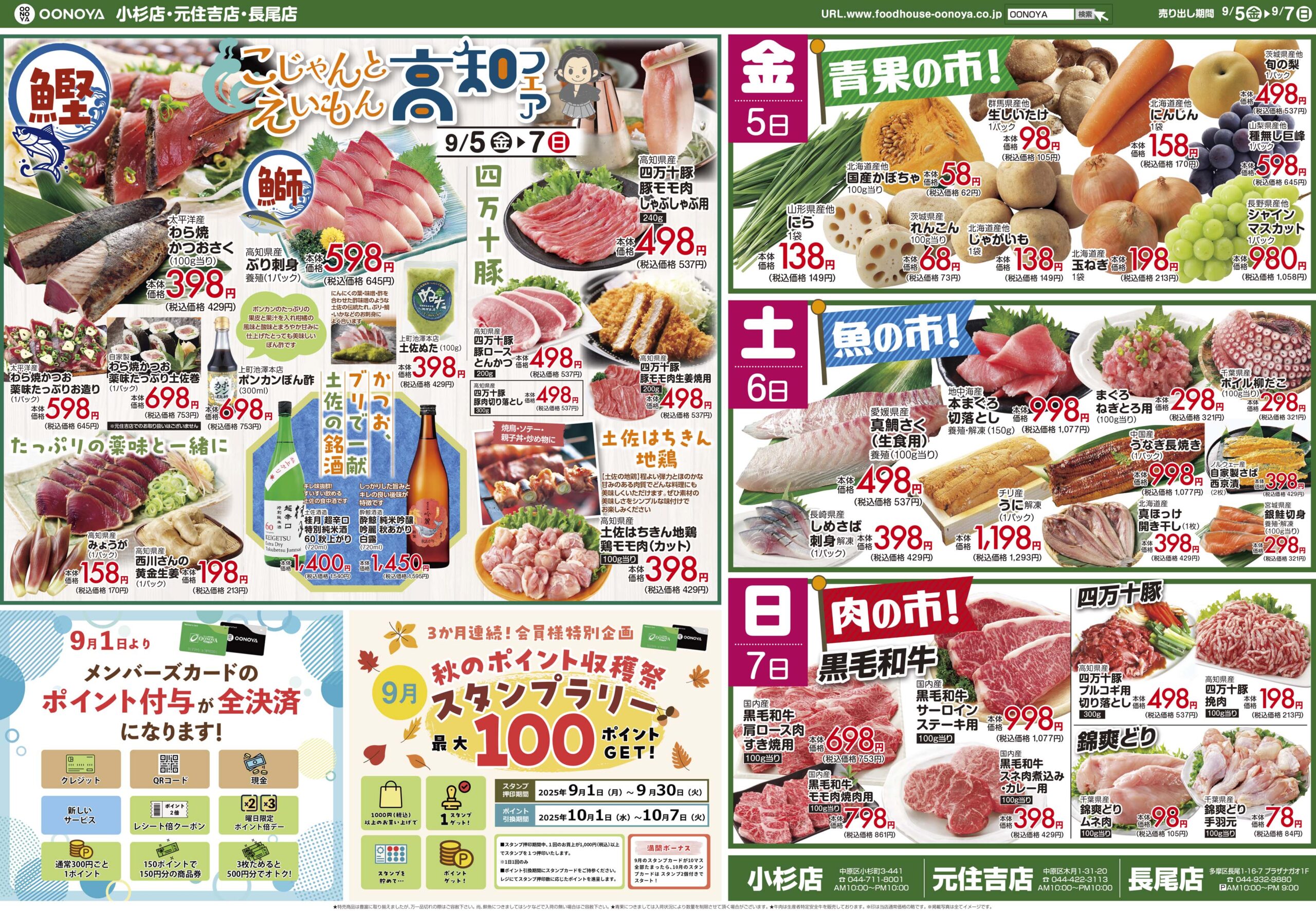 flyer_back